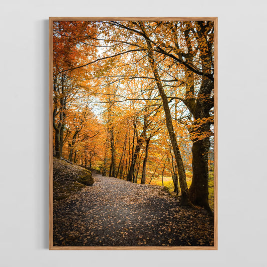 Efterår i Bangsbo #2 - Deluxe Print