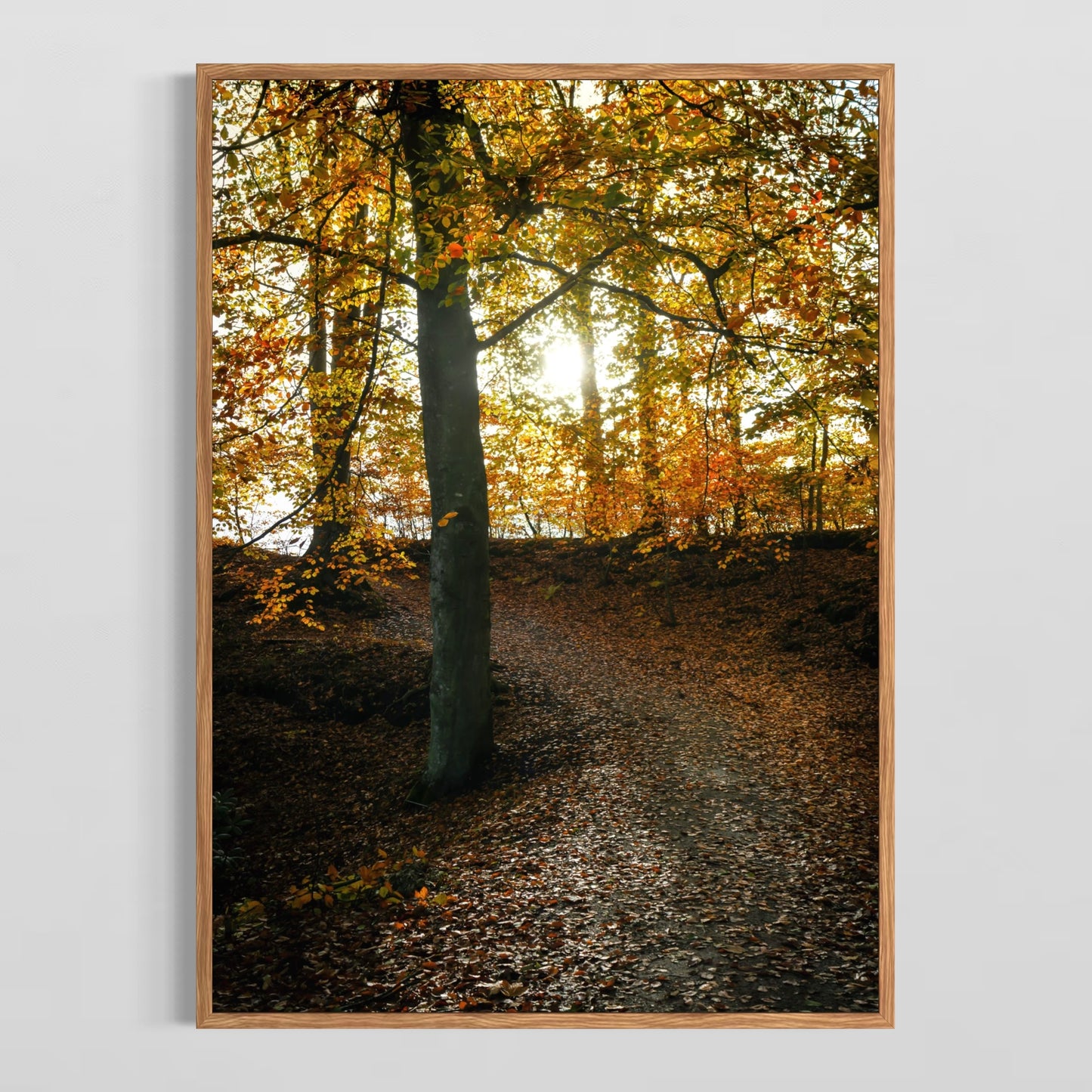 Skovsti Med Efterårets Farver - Deluxe Print