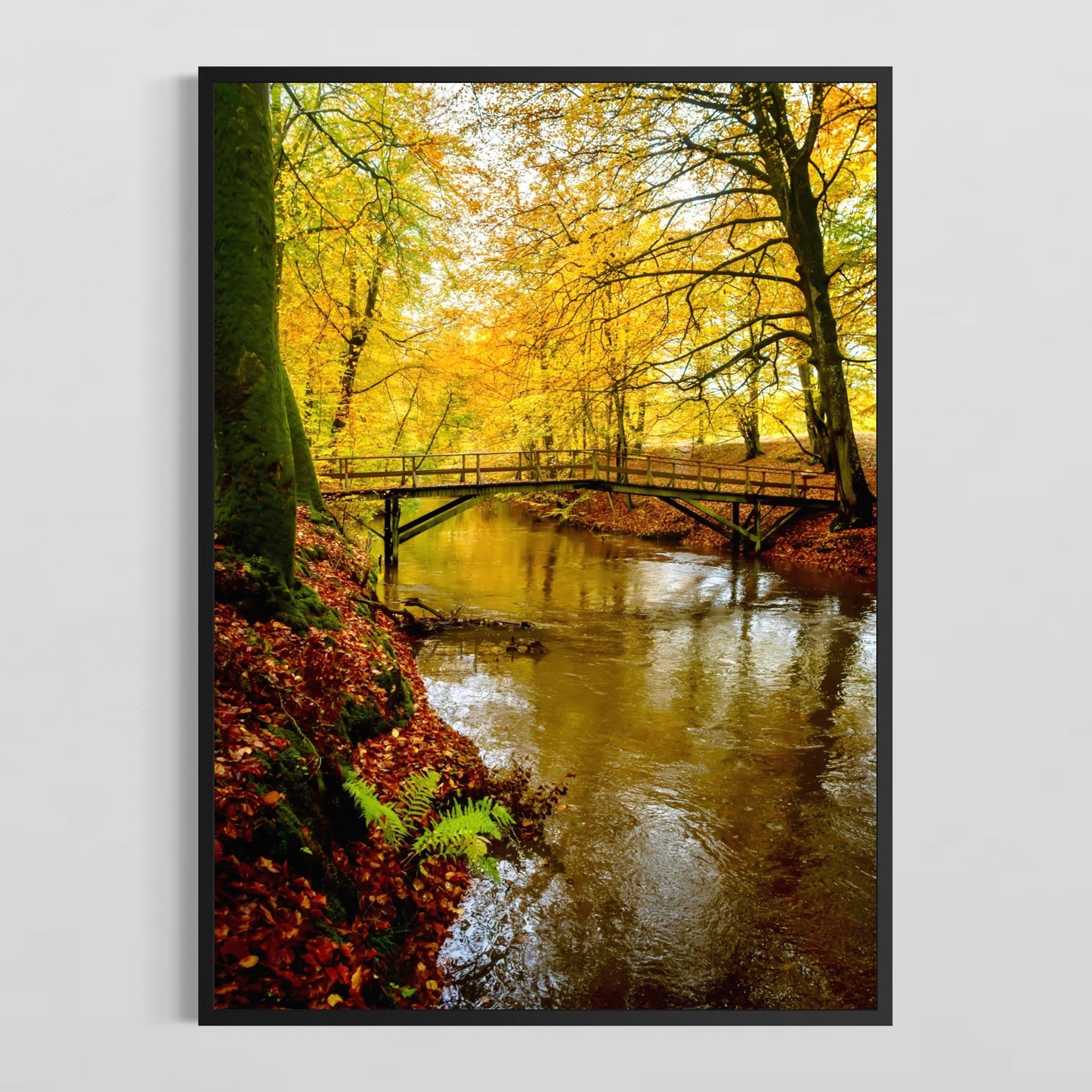 Efterår i Sæbygård Skov #6 - Deluxe Print