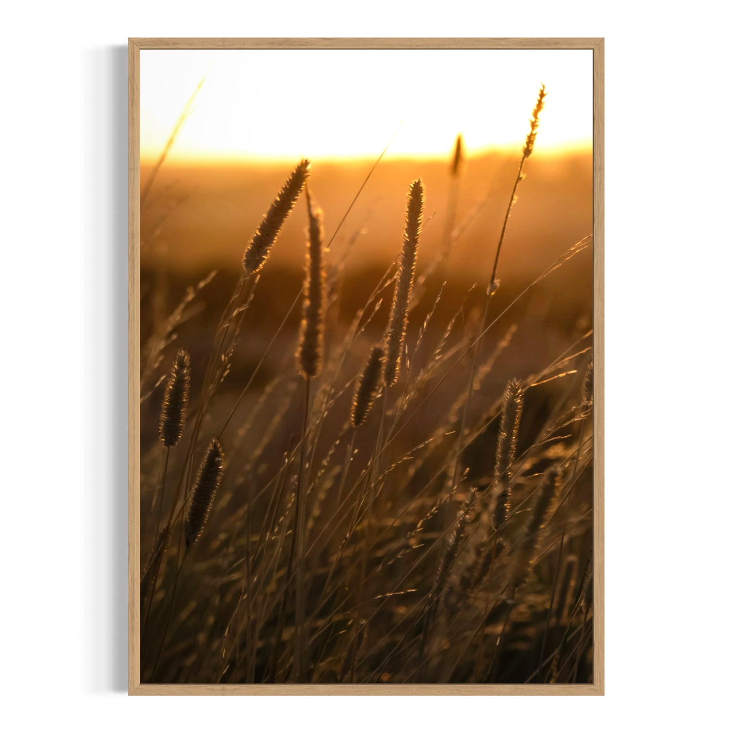 Sensommerglød - Deluxe Print