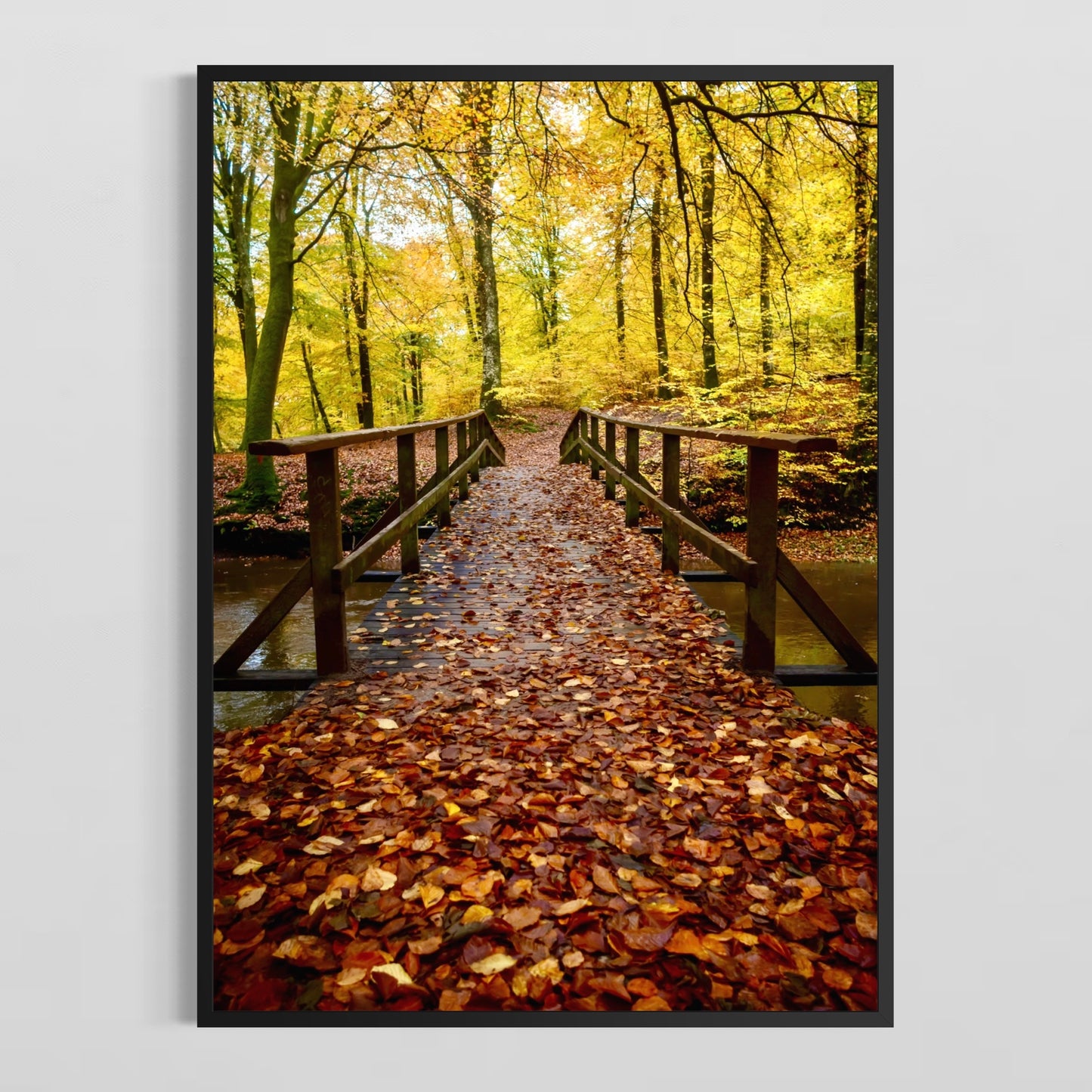 Efterår i Sæbygård Skov #5 - Deluxe Print