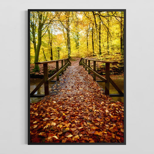 Efterår i Sæbygård Skov #5 - Deluxe Print