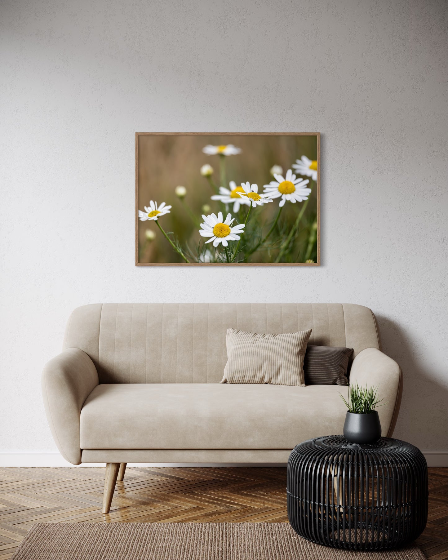 Margueritter