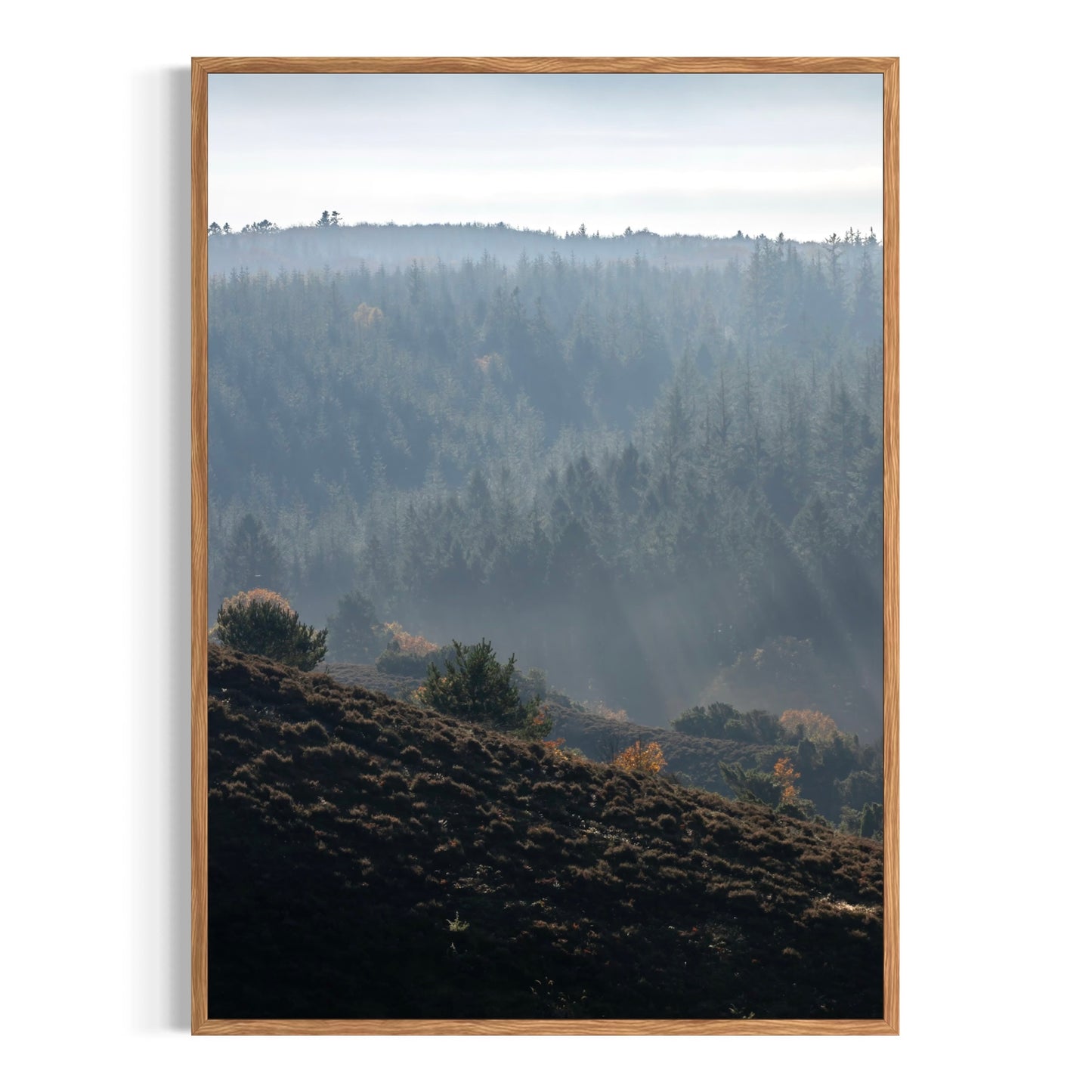 Dis Over Rebild Bakker