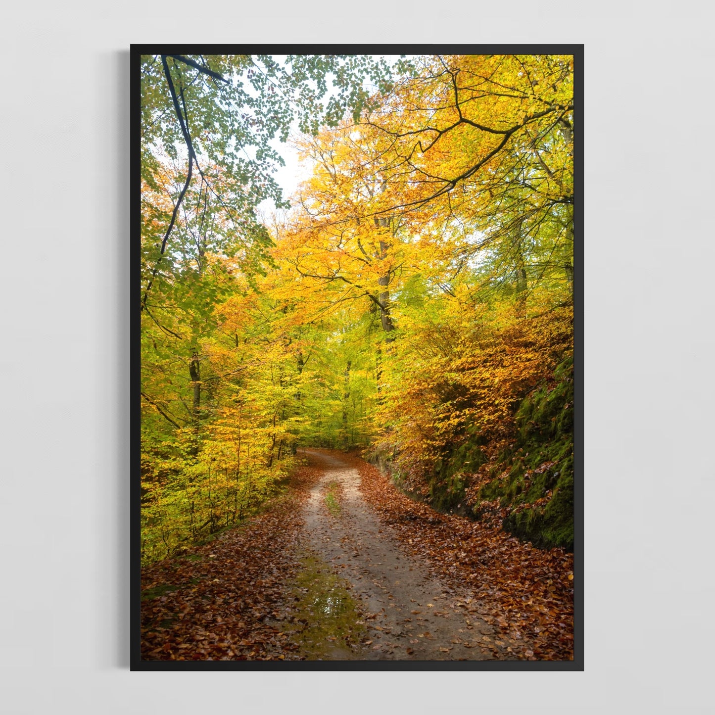 Efterår i Sæbygård Skov #4 - Deluxe Print