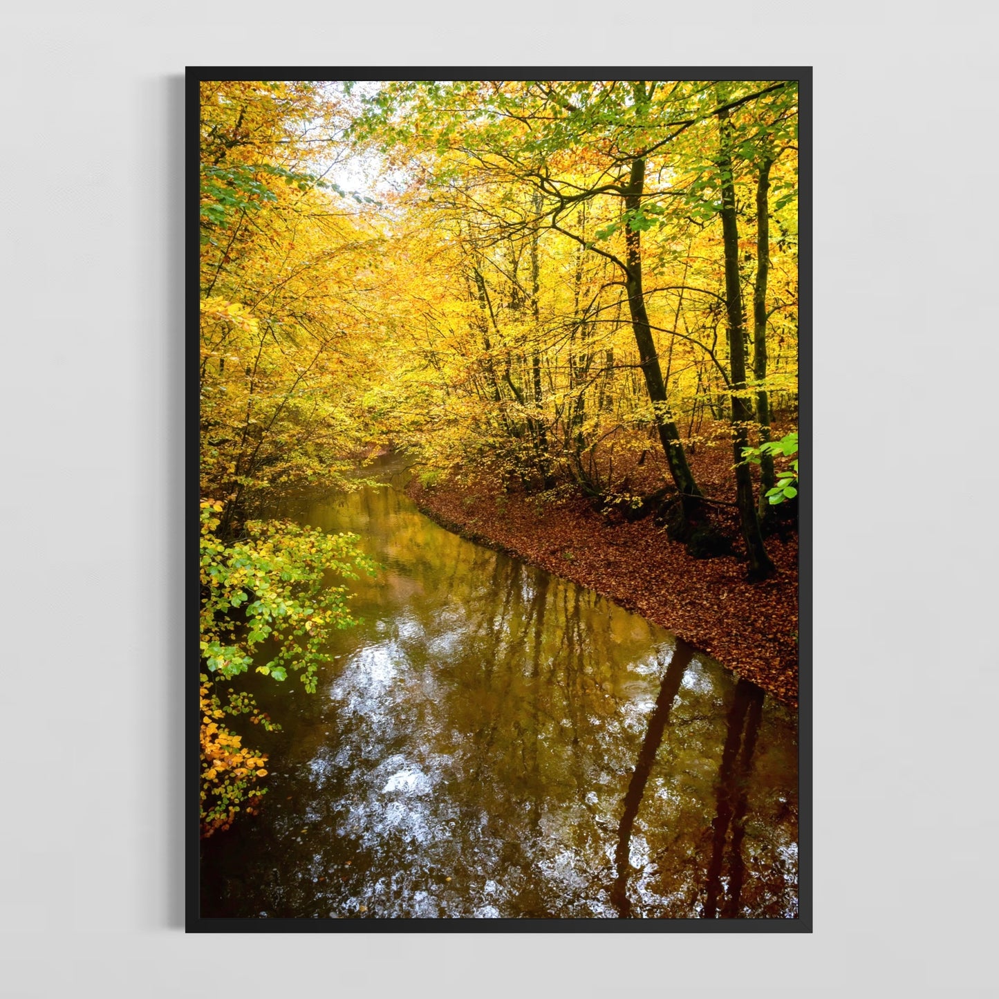 Efterår i Sæbygård Skov #1 - Deluxe Print